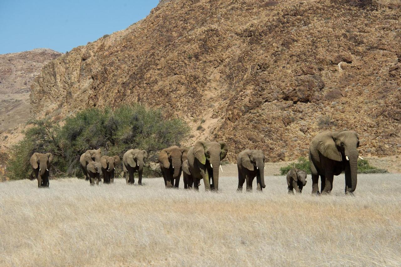Twyfelfontein Wilderness Safaris Doro Nawasヴィラ エクステリア 写真